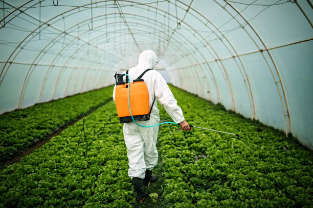Best Pest Control for Restaurants  in Jenison, MI
