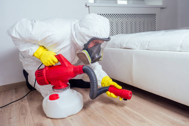 Pest Control for Restaurants in Jenison, MI